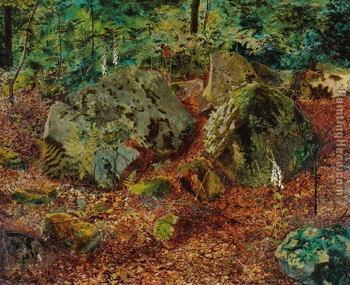 A Mossy Glen